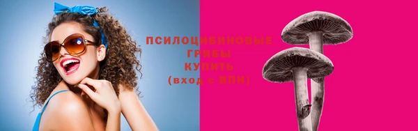 прущие крисы Приозерск