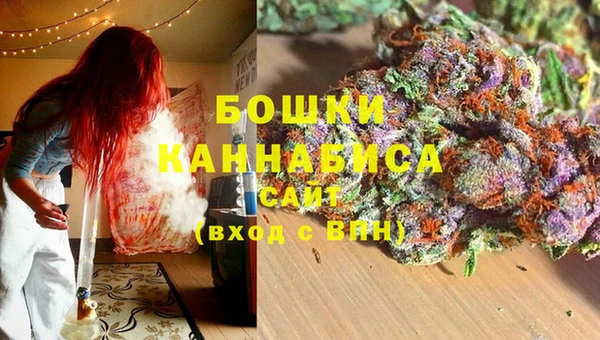 прущие крисы Приозерск
