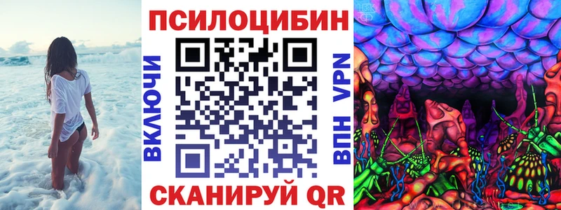хочу   Боготол  Галлюциногенные грибы ЛСД 
